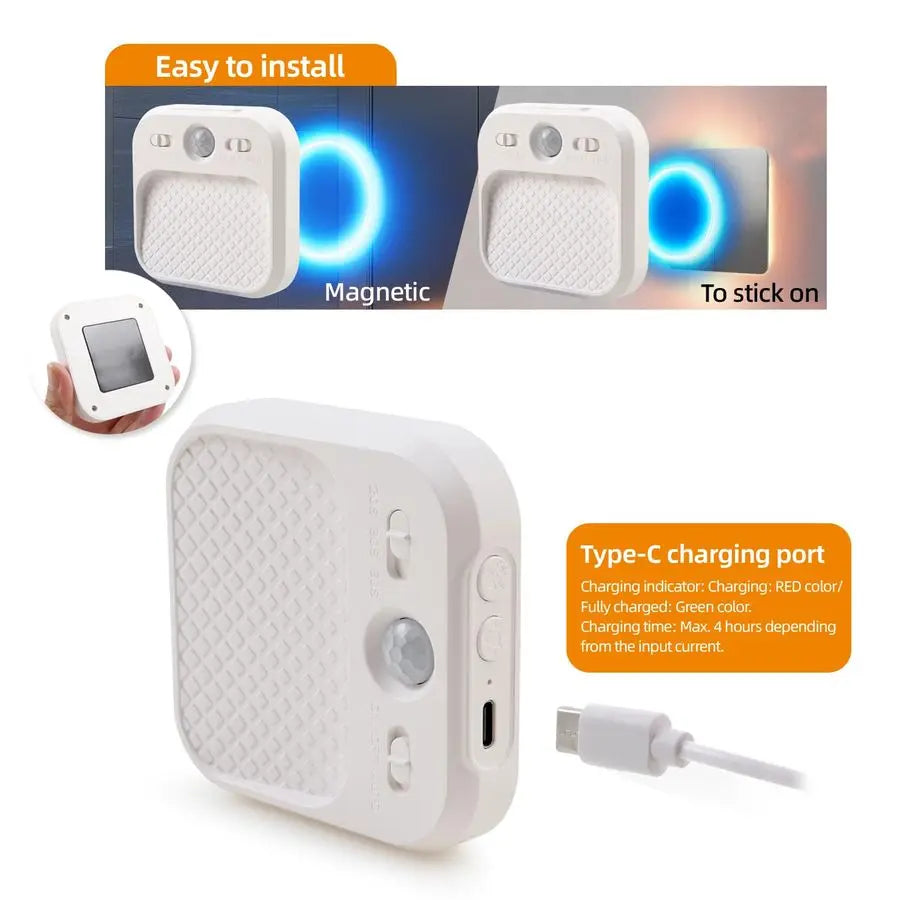 Night Light with Motion Detector