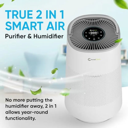 Air Purifier and Humidifier Combo