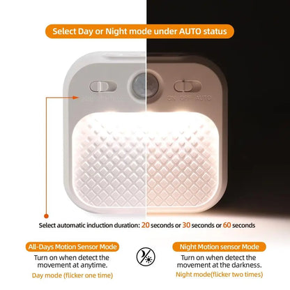 Night Light with Motion Detector